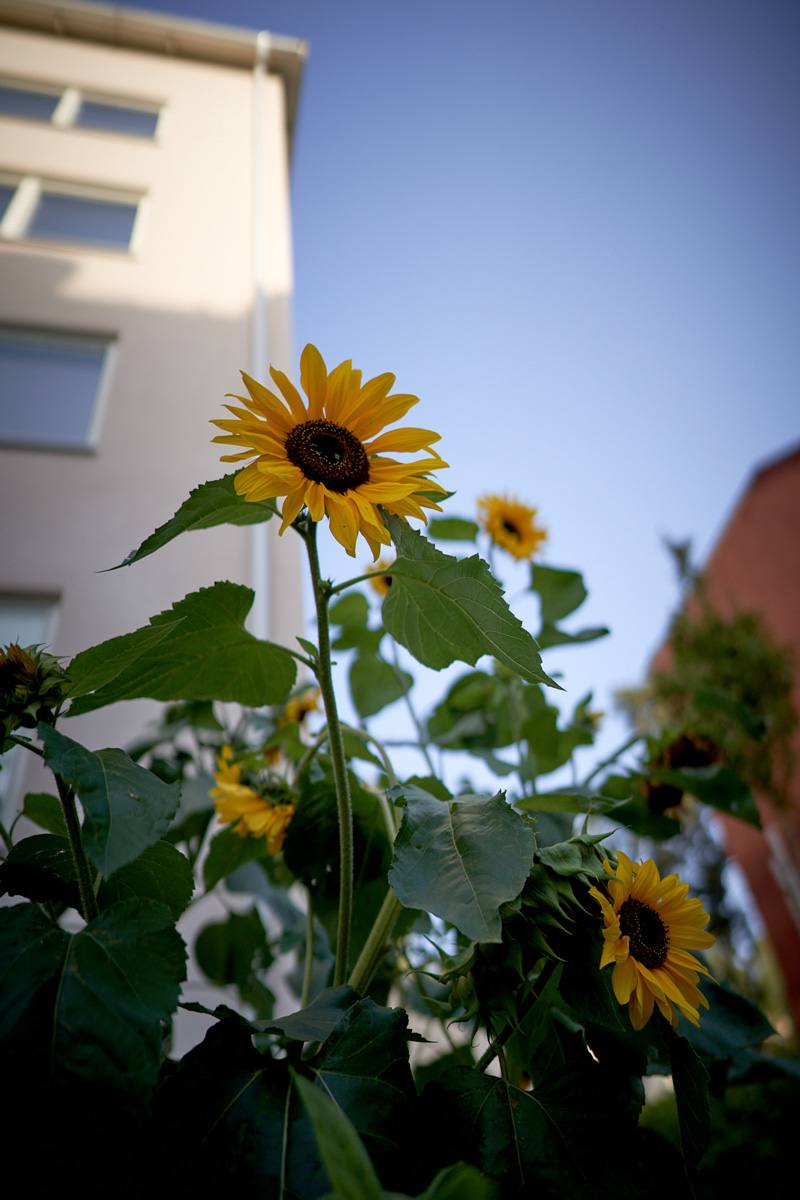 Per-Erik Halvarsson image